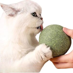 mint-infused catnip ball, a non-toxic toy for cats to encourage play and mental stimulation.