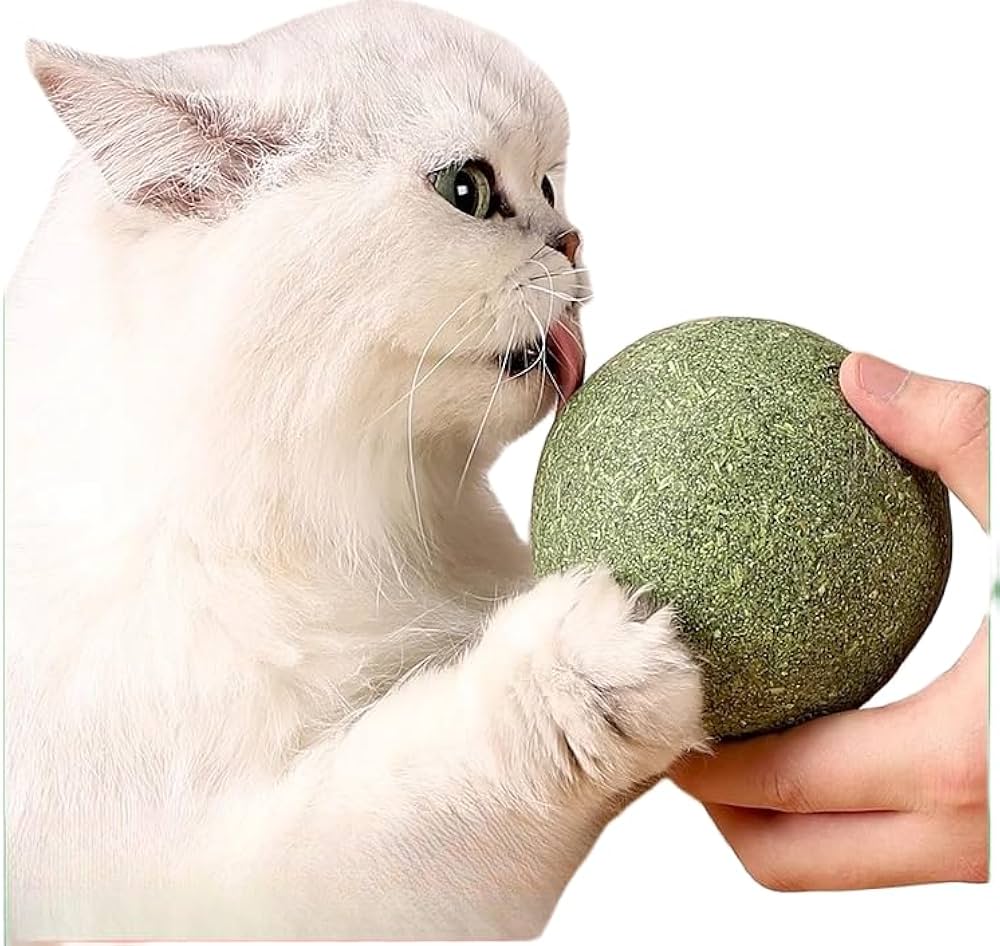 mint-catnip-ball-for-cats mint-infused catnip ball, a non-toxic toy for cats to encourage play and mental stimulation.