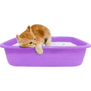 A premium kitten litter tray with a scoop, a non-slip base, and a low-entry design, made from eco-friendly materials.