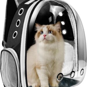 A transparent cat bag carrier backpack with a Ragdoll cat inside, designed for safe and comfortable travel.