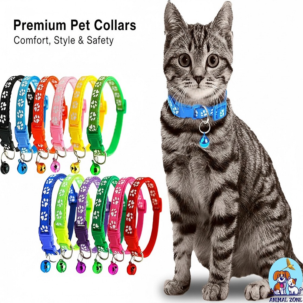 Cat Collar Price in Pakistan - Adjustable Bell Collar An adjustable nylon cat collar with a bell for kittens and puppies at a low price in Pakistan.