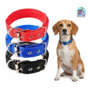 High-quality nylon dog collars in Pakistan for puppies and adult dogs.